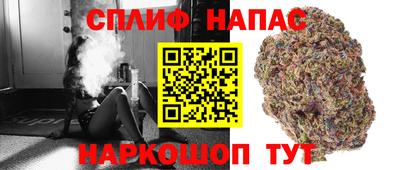 сатива Гатчина