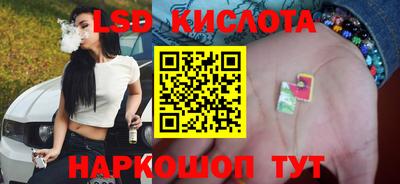 сатива Гатчина