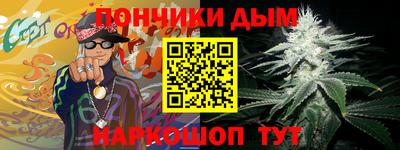 шишки Гагарин