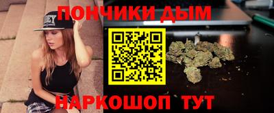 сатива Гатчина