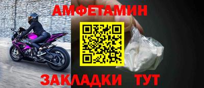 сатива Гатчина