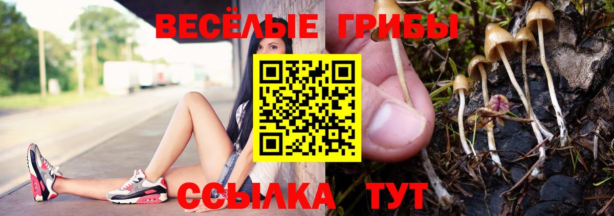 Назарово  Псилоцибиновые грибы прущие грибы  Вход с VPN 
